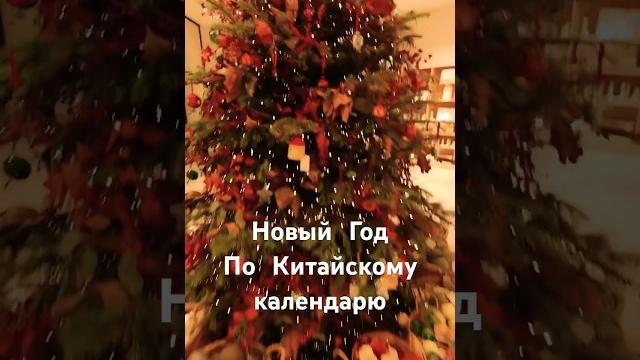 #новыйгод по китайскому календарю 🫶🫶 #2024 #новыйгод по китайскому календарю 🫶🫶 #2024