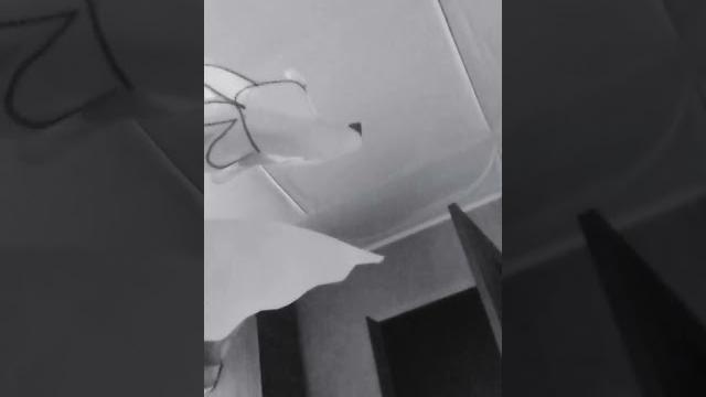 почему меня никто не любит почему меня никто не любит