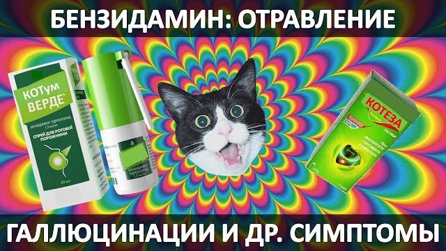 БЕНЗИДАМИН (Тантум Верде, Фортеза): ГАЛЛЮЦИНАЦИИ и др. СИМПТОМЫ ОТРАВЛЕНИЯ; МЕДИЦИНСКАЯ ПОМОЩЬ БЕНЗИДАМИН (Тантум Верде, Фортеза): ГАЛЛЮЦИНАЦИИ и др. СИМПТОМЫ ОТРАВЛЕНИЯ; МЕДИЦИНСКАЯ ПОМОЩЬ
