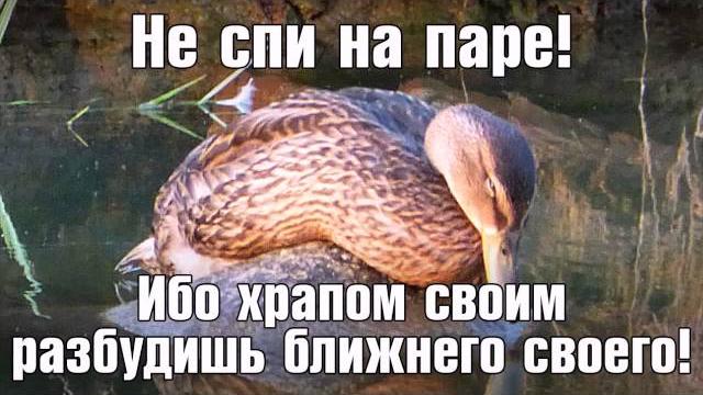 С Днем Студента! С Днем Студента!