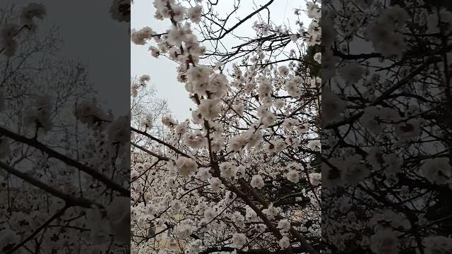 что видно из окна что видно из окна