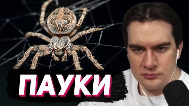 БРАТИШКИН СМОТРИТ - ДОКУМЕНТАЛКУ ПРО ПАУКОВ БРАТИШКИН СМОТРИТ - ДОКУМЕНТАЛКУ ПРО ПАУКОВ