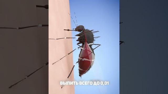 Сколько комаров нужно, чтобы высосать всю вашу кровь? #медицина #здоровье #факты #facts #топ #help Сколько комаров нужно, чтобы высосать всю вашу кровь? #медицина #здоровье #факты #facts #топ #help