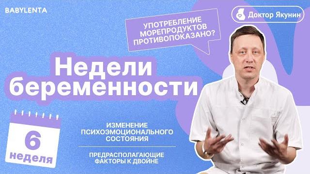 6 неделя беременности что происходит с плодом и что чувствует женщина, УЗИ, сердцебиение, двойня 6 неделя беременности что происходит с плодом и что чувствует женщина, УЗИ, сердцебиение, двойня