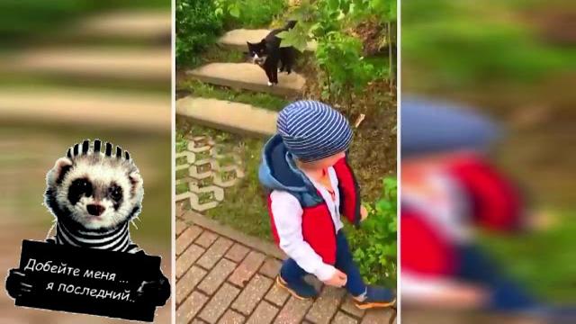 СПРОСИ, КАК У НЕЁ ДЕЛА, У КОШЕЧКИ...?! :-) СПРОСИ, КАК У НЕЁ ДЕЛА, У КОШЕЧКИ...?! :-)