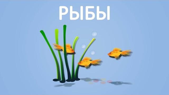 Рыбы. Энциклопедия для детей Рыбы. Энциклопедия для детей