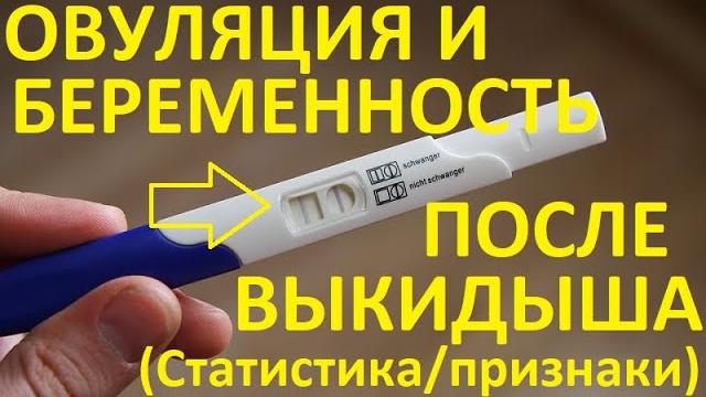 Овуляция и Беременность после выкидыша (Статистика!) Овуляция и Беременность после выкидыша (Статистика!)