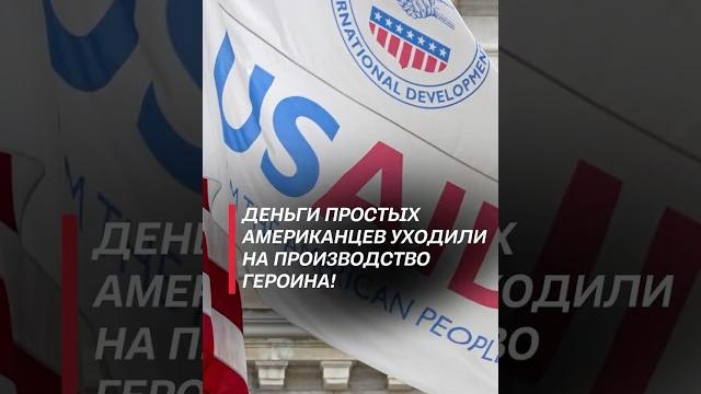 Деньги американцев уходили на производство героина! #трамп #usaid #политика #новости #сша Деньги американцев уходили на производство героина! #трамп #usaid #политика #новости #сша