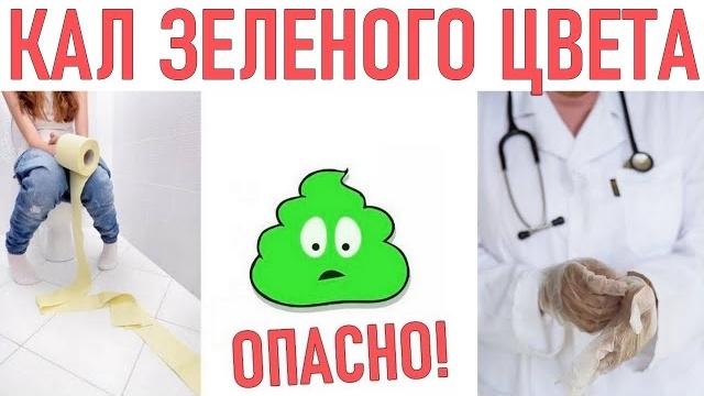 КАЛ ЗЕЛЕНОГО ЦВЕТА | Причины кала зеленого цвета КАЛ ЗЕЛЕНОГО ЦВЕТА | Причины кала зеленого цвета