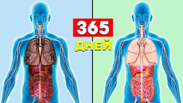 Что будет с Телом если бросить Курить Что будет с Телом если бросить Курить