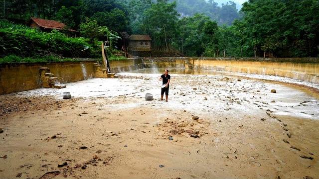 Lime sprinkled in empty pond—will my dream of raising thousands of fish succeed this time? Lime sprinkled in empty pond—will my dream of raising thousands of fish succeed this time?