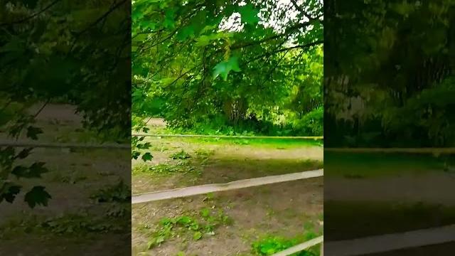 #любовь #мотивациянауспех #video #vlog #цитатыпрожизнь #жизнь #рекомендации #youtubeshorts #цитаты #любовь #мотивациянауспех #video #vlog #цитатыпрожизнь #жизнь #рекомендации #youtubeshorts #цитаты