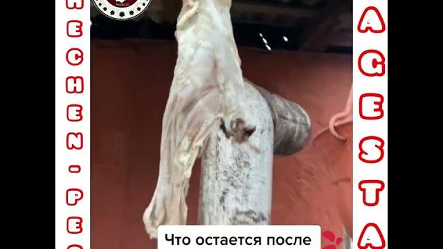 29 июля 2022 г. 29 июля 2022 г.