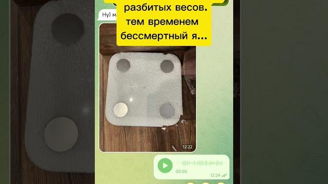 Весы вышли из чата #прикол #юмор #fyp Весы вышли из чата #прикол #юмор #fyp