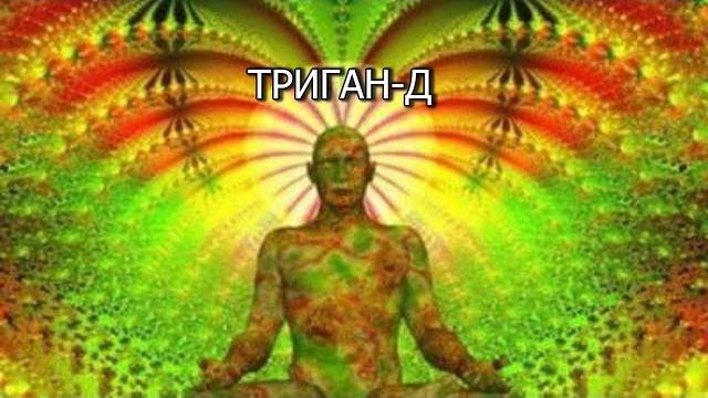 ТРИГАН-Д ПОКАЖЕТ ВАМ АД НА ЗЕМЛЕ ТРИГАН-Д ПОКАЖЕТ ВАМ АД НА ЗЕМЛЕ