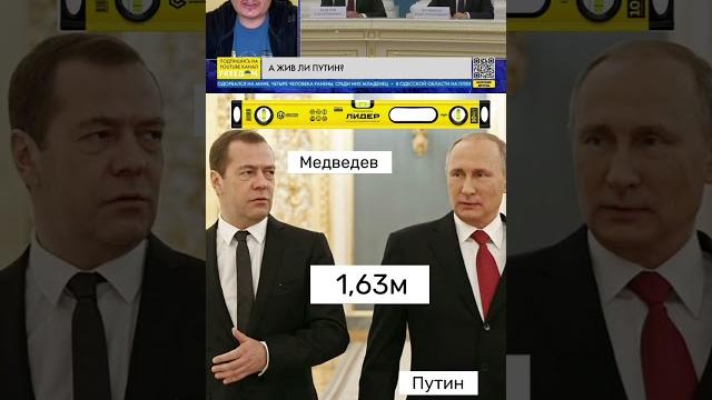 Двойники Путина. Верзила Двойники Путина. Верзила