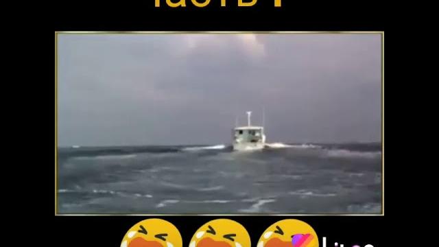Грустное видео про собаку Грустное видео про собаку