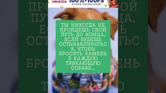 Со смыслом #shorts #юмор #анекдот Со смыслом #shorts #юмор #анекдот