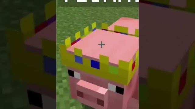 name tag in Minecraft for pig to get technoblade crown name tag in Minecraft for pig to get technoblade crown