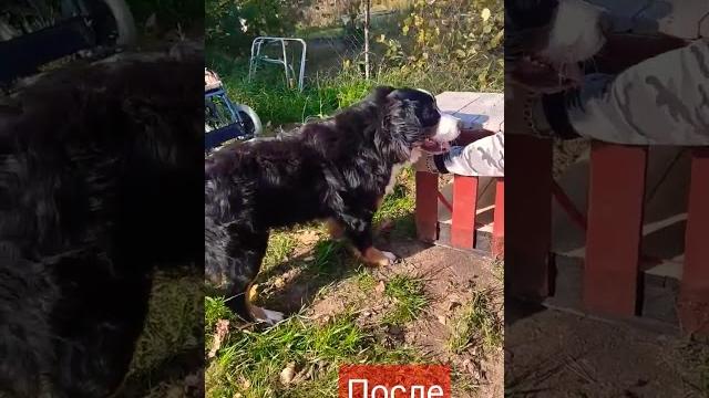 Побеждаем страхи. До и после Побеждаем страхи. До и после