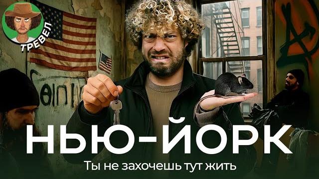 Нью-Йорк: как вам жилье с клопами за $ 4000? | Жизнь в Америке и кризис недвижимости Нью-Йорк: как вам жилье с клопами за $ 4000? | Жизнь в Америке и кризис недвижимости