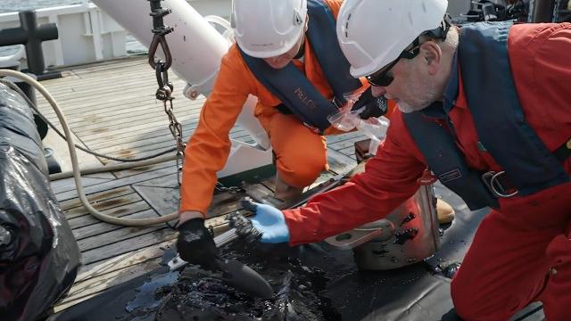 Смертоносные утечки нефти из затонувших военных кораблей времен Второй мировой войны | Черные слезы Смертоносные утечки нефти из затонувших военных кораблей времен Второй мировой войны | Черные слезы