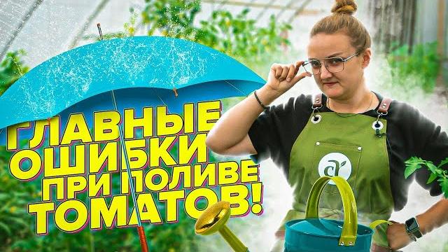 ПОЛИВАЙТЕ ТОМАТЫ ТАК! СОВЕТЫ ПОЛИВАЙТЕ ТОМАТЫ ТАК! СОВЕТЫ