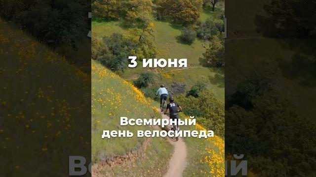 3 июня – Всемирный день велосипеда 3 июня – Всемирный день велосипеда