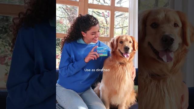 Watch to feel clearer with Claritin® Watch to feel clearer with Claritin®