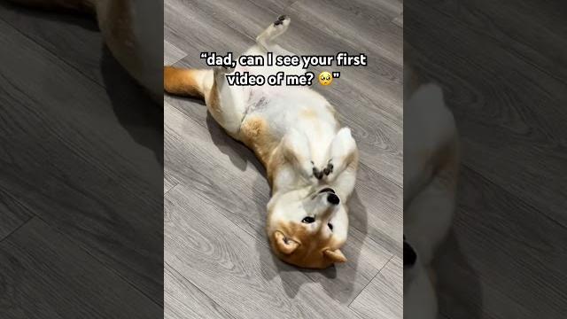 My first video #cutenessoverload My first video #cutenessoverload