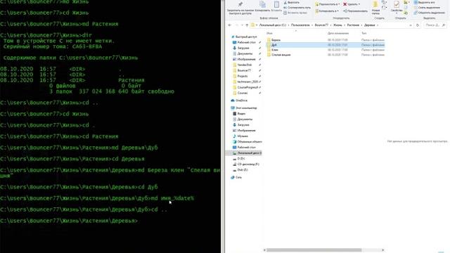 Основные команды в командной строке Windows 10 Основные команды в командной строке Windows 10