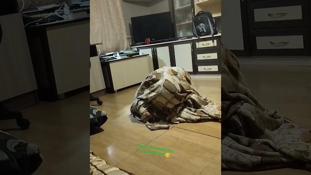 я не могу удалить видео! я не могу удалить видео!