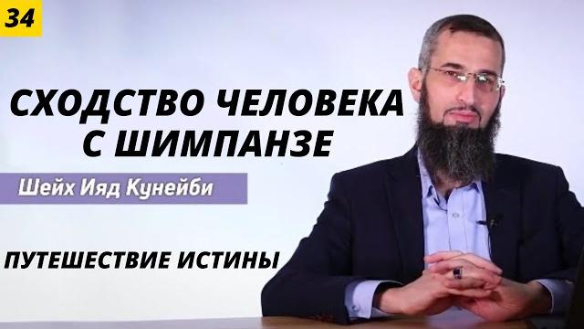 Путешествие истины 34 (сходство 99% генома человека с шимпанзе по мнению мифа теории эволюции) Путешествие истины 34 (сходство 99% генома человека с шимпанзе по мнению мифа теории эволюции)