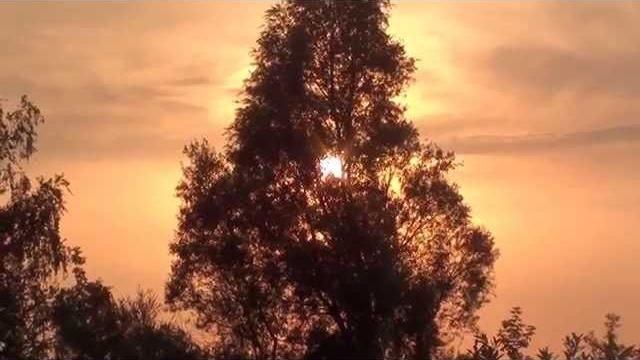 Природа Украины. Вечер прогулка возле реки. Nature of Ukraine. Evening the walk by the river. Природа Украины. Вечер прогулка возле реки. Nature of Ukraine. Evening the walk by the river.