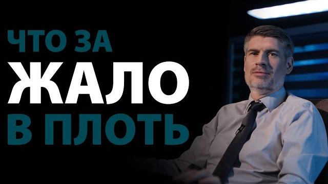Жало в плоть. 2 Кор.12:7 Жало в плоть. 2 Кор.12:7