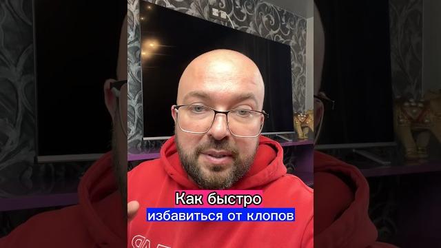 Как быстро избавиться от клопов Как быстро избавиться от клопов
