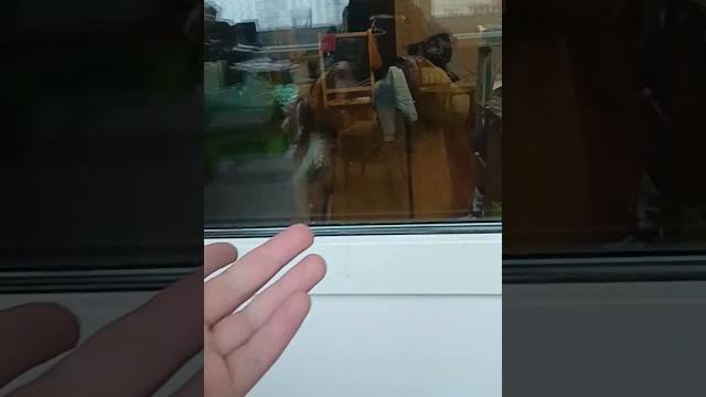 как отсюда выйти? как отсюда выйти?