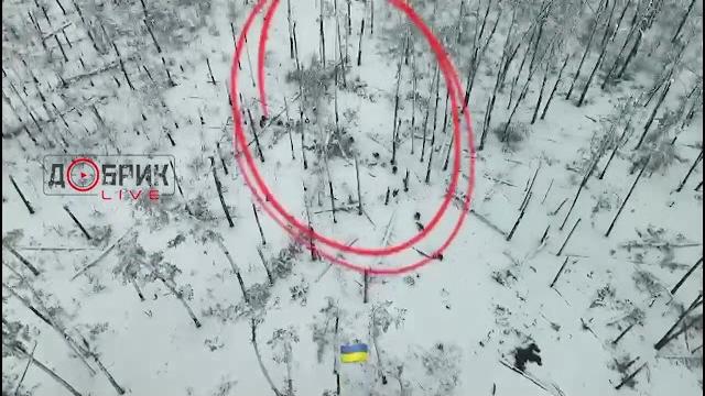 Бой под Кременной 31 марта Бой под Кременной 31 марта