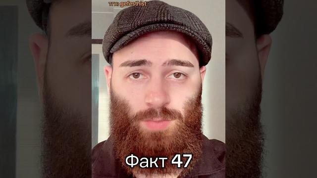 Кто основал Москву?! Кто основал Москву?!