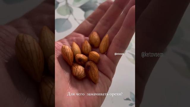 ДЛЯ ЧЕГО ЗАМАЧИВАТЬ ОРЕХИ? ДЛЯ ЧЕГО ЗАМАЧИВАТЬ ОРЕХИ?