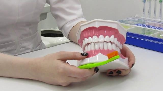 Как чистить зубы? Как чистить зубы?