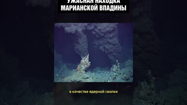 Что ЭТО такое?! Находка на дне Марианской впадины Что ЭТО такое?! Находка на дне Марианской впадины