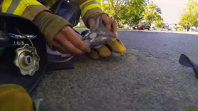 Грустные видео про животных Грустные видео про животных