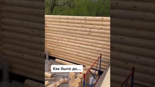 Как мы строили избу для енотов!) Как мы строили избу для енотов!)