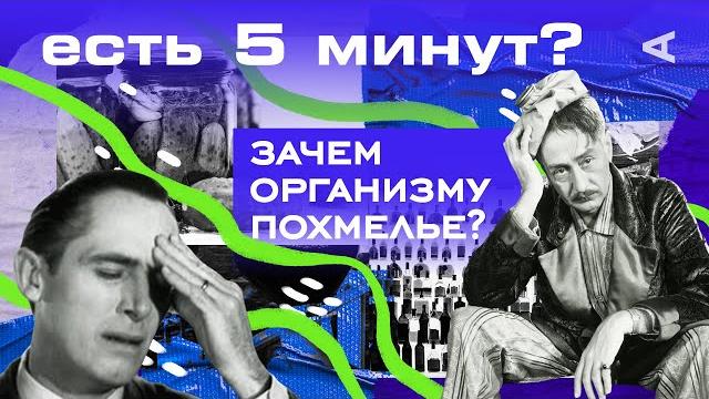 Зачем нашему организму похмелье? | ЕСТЬ 5 МИНУТ? Зачем нашему организму похмелье? | ЕСТЬ 5 МИНУТ?