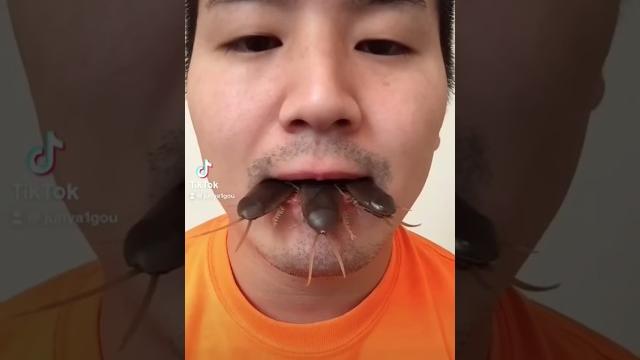 Junya1gou funny video | JUNYA Best TikTok August 2021 Part 65 #funny #asmr #cute #viraltiktok Junya1gou funny video | JUNYA Best TikTok August 2021 Part 65 #funny #asmr #cute #viraltiktok