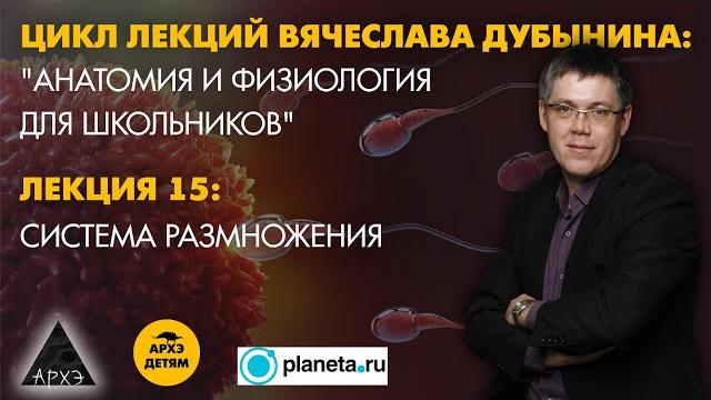 Вячеслав Дубынин: "Система размножения" (Лекция 15) Вячеслав Дубынин: "Система размножения" (Лекция 15)