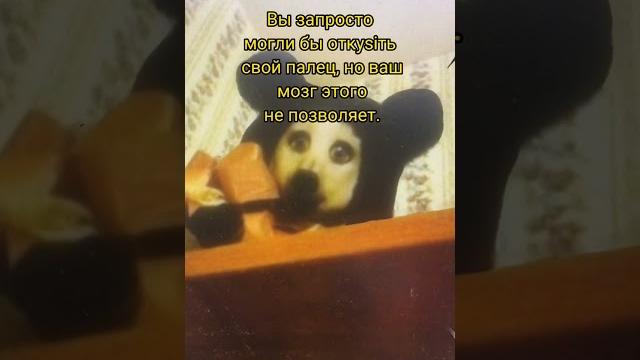 Самые жуткие факты #жуткиефакты #страшилка #призрак Самые жуткие факты #жуткиефакты #страшилка #призрак