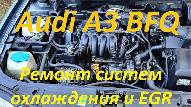 Ремонт систем охлаждения и EGR в Ауди A3 1.6 BFQ Ремонт систем охлаждения и EGR в Ауди A3 1.6 BFQ