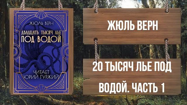 ЖЮЛЬ ВЕРН - ДВАДЦАТЬ ТЫСЯЧ ЛЬЕ ПОД ВОДОЙ - ЧАСТЬ 1 ЖЮЛЬ ВЕРН - ДВАДЦАТЬ ТЫСЯЧ ЛЬЕ ПОД ВОДОЙ - ЧАСТЬ 1